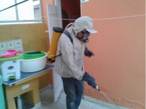 Controle de Pragas no Guarapiranga