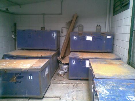 Empresa de Dedetizadora na Zona Oeste
