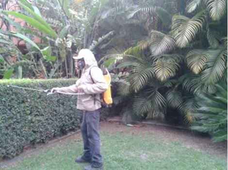 Empresa Dedetizadora no Jardim Catanduva