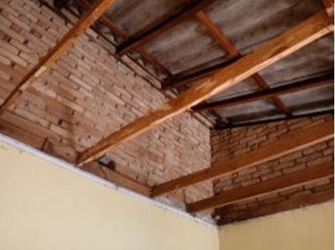 Empresa Descupinizadora em Itaquera