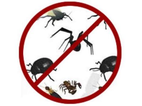 Controle de Pragas em Higienópolis