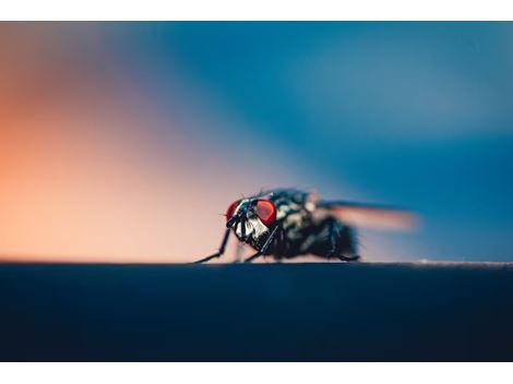 Dedetização de Mosquitos no Parque Edu Chaves