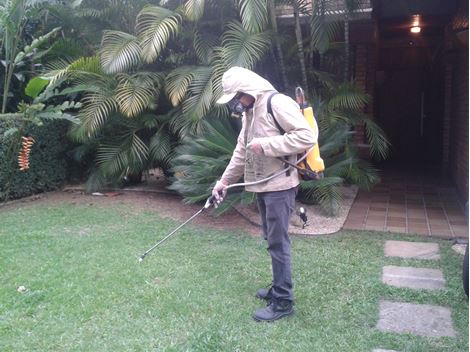 Empresa Dedetizadora em Santo Amaro