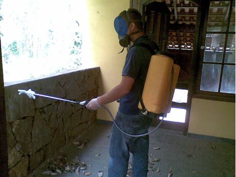 Dedetizadora 24 horas na Cidade Tiradentes