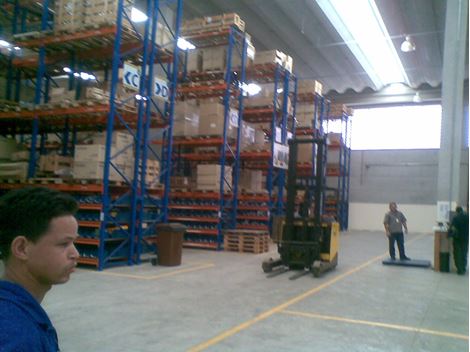 Dedetizadora Profissional no Jardim Aeroporto