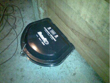 Rato em Carapicuíba