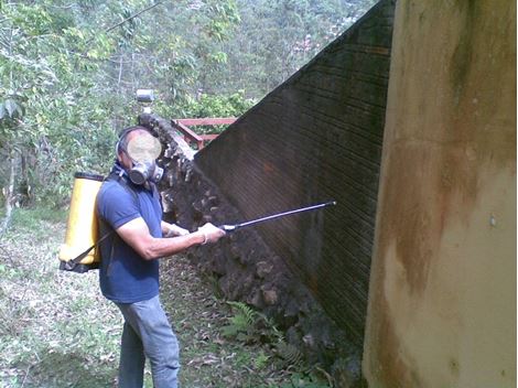 Empresa Dedetizadora na Vila Anhanguera
