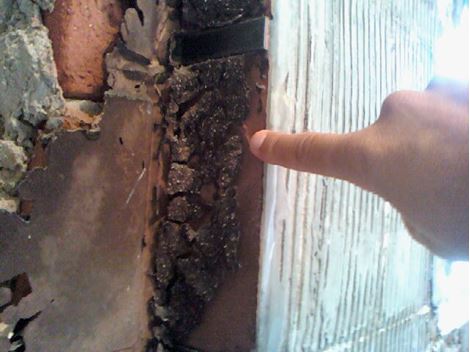 Controladora de Cupim em Santo André