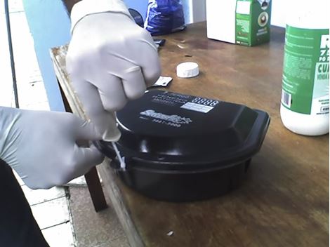 Controladora de Ratos em São Lourenço