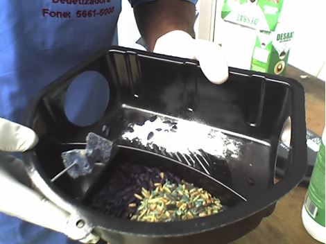 Controle de Roedores em São Lourenço