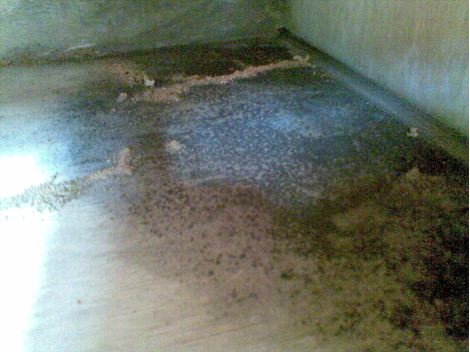 Limpeza de Fossa em Paraisópolis