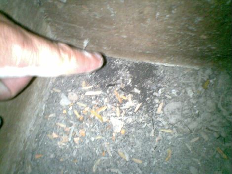 Limpeza de Caixa D'Água no Jardim Umarizal
