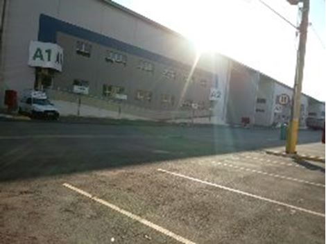 Serviços de Dedetização na Vila São José